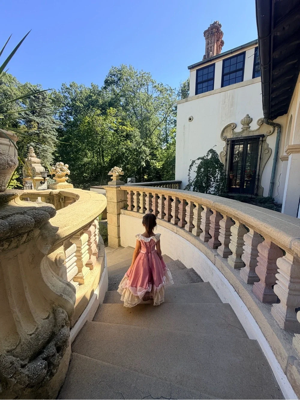 Pink Bow Princess Kids Costume Dress by